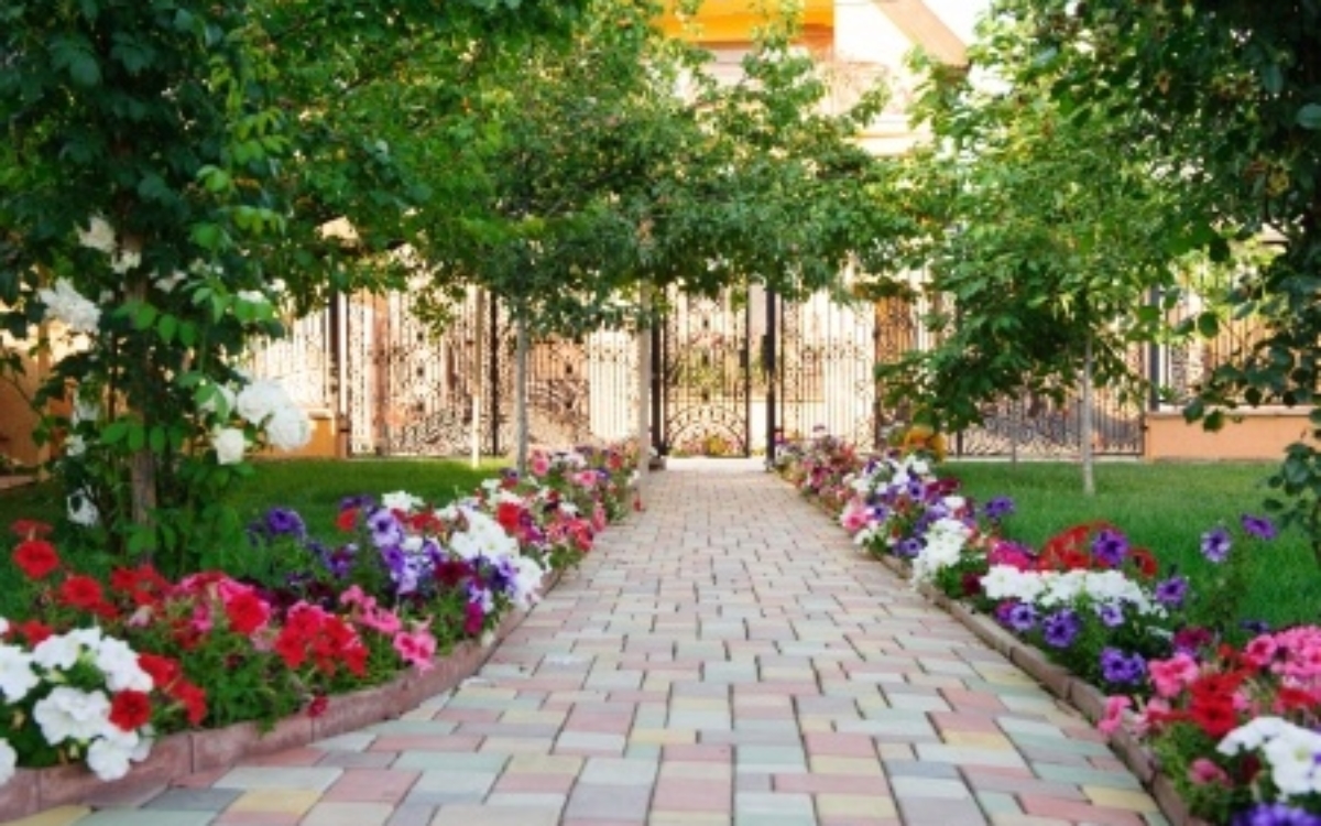 colorful brick footpath with flowers at the backyard