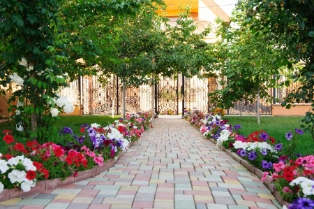 colorful brick footpath with flowers at the backyard