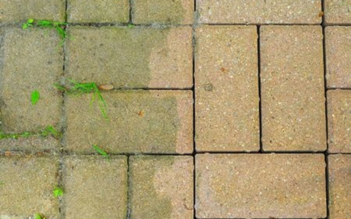 patio bricks showing the difference made by power washing