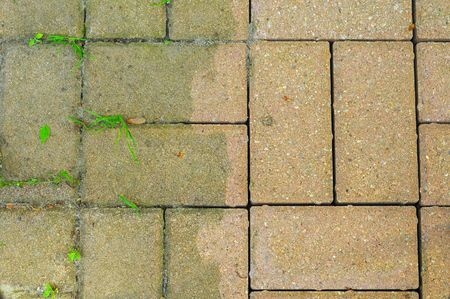 patio bricks showing the difference made by power washing