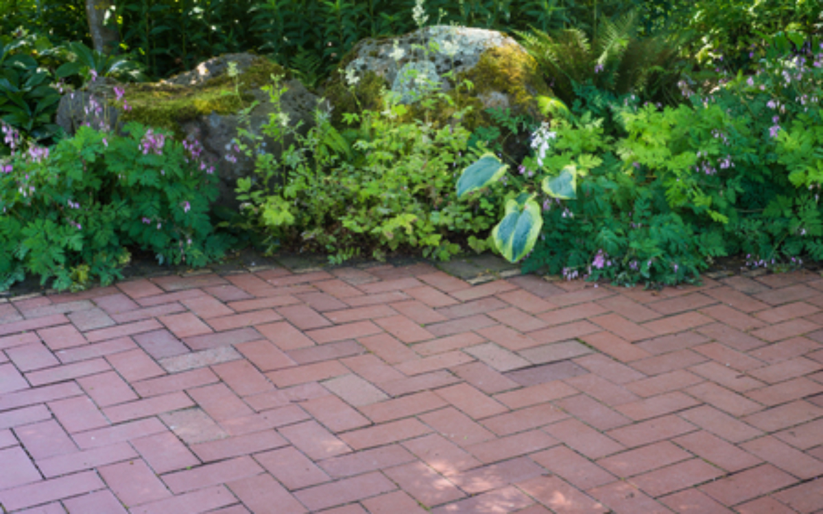 A natural shade perennial garden borders a brick patio