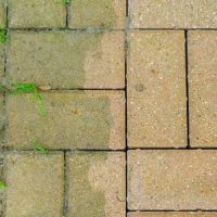 patio bricks showing the difference made by power washing Naples Power Washing on Bricks