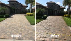 Driveway with pavers and palm trees